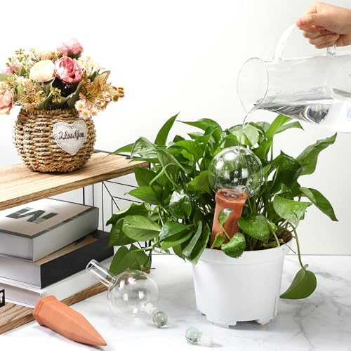 Teenyyou 3 Set 12oz Glass Self Watering Globes with Terracotta Self Watering Spike Large Glass Waterer Bulbs Automatic Water Planter Water Device for Indoor Outdoor (Green,Cactus)(Clear,Classic) - Image 6