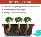 Window Box Planter,12Pack Plastic Vegetable Flower Planters Boxes - Image 4