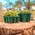 Vego garden Seedling Starter Kit 4-Pack Standard Seedling Trays with 10" x 10" Bottom Watering Trays Premium Plant Growing Suite - Image 6