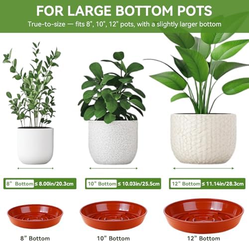 15 Pack Plant Trays for Pots 1.5" Deep Plant Saucers, Heavy Duty 8" 10" 12 inch Plant Tray Bulk Thickened Plant Plates to Catch Water, Durable Plant Saucer Flower Pot Accessories - Image 3