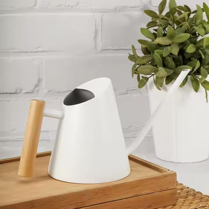 Modern Indoor Watering Can with Long Spout, Wooden Handle, 3 Colors - Black, White, Silver (WHI) by GROW24