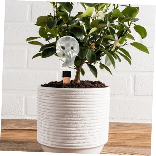 INOOMP 8pcs Self Watering Bulbs for Indoor and Outdoor Plants Automatic Plant Waterer Elegant Design for Busy Schedules Efficient Water Distribution - Image 2
