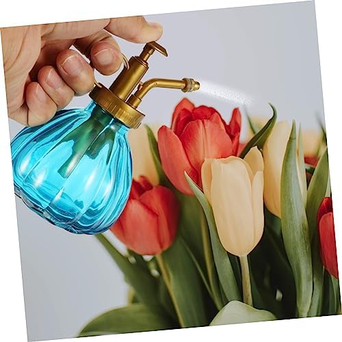 Vintage Glass Watering Spray Bottle 2Pcs for Flowers and Succulents - Image 3