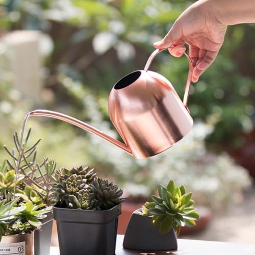 Stainless Steel Watering Can 1000ml with Long Mouth, Ergonomic Handle - Image 4