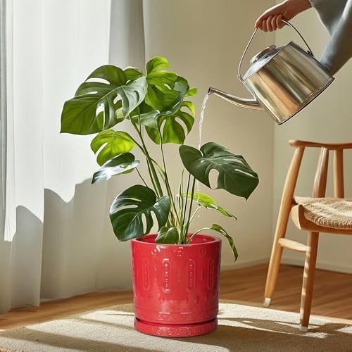 Eightpot Plant Drip Trays 9.3 Inch, Ceramic Plant Saucer, Plant Saucers for Indoorss Outdoors, Round Plants Plates to Catch Water, Modern Plant Pot Tray, Decorative Plants Dishes to Catch Water, Red - Image 3