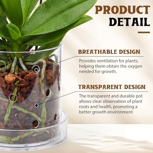 7 Inch Clear Acrylic Orchid Planter Pot with 360° Round Holes & Tray - Image 3