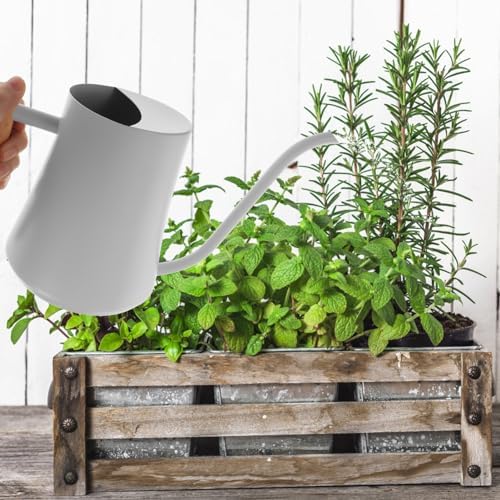 Levemolo Stainless Steel Watering Can with Long Spout Retro Design Sprinkling Pot for Indoor and Outdoor Plant Care for Boy Girl and Garden Enthusiasts - Image 4