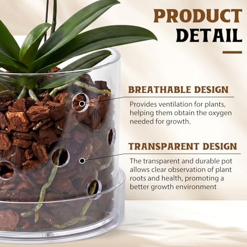 6 Inch Clear Acrylic Orchid Planter Pot with 360° Round Holes & Tray - Image 3