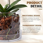 6 Inch Clear Acrylic Orchid Planter Pot with 360° Round Holes & Tray - Image 3