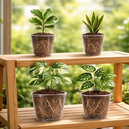 Bluepro Clear Nursery Pots with Drainage Holes, 5/6/8/10 Inch, 16-Pack - Image 6