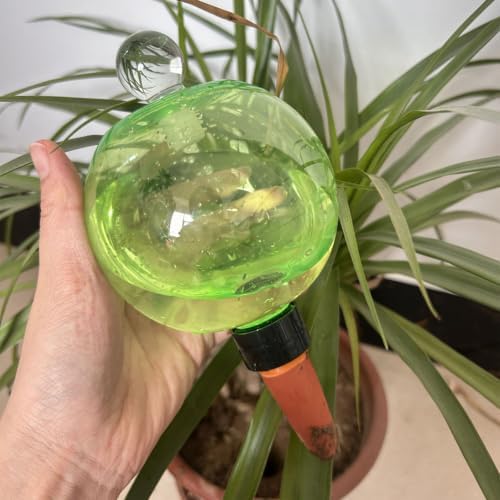 Automatic Plant Watering Globes 500ML Top Fill Drip Irrigation for Indoor - Image 3