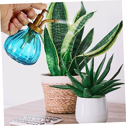 2Pcs Vintage Glass Plant Watering Spray Bottle Mister for Succulents - Image 6