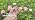 HIRALIY 100FT Misting Irrigation Kit - Image 7