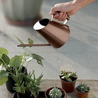 Jeffergarden Watering Can Stainless Steel Watering Pot, Long Spout Metal Kettle 400ml 900ml 1500ml, Bronze Can for Indoor Outdoor Plants Bonsai s Office Garden (Medium Size 3.8x6.3cm) by Jeffergarden