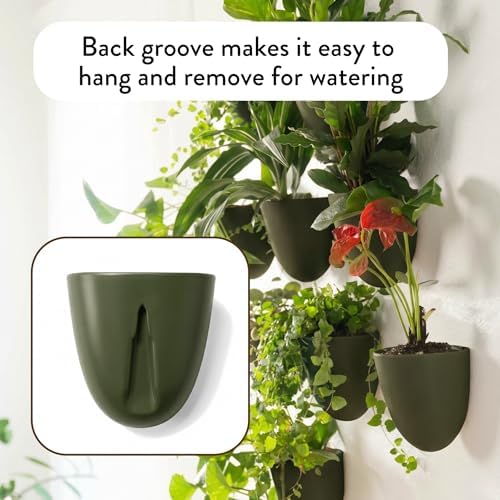Make Good PlantPod Luxe - Self-Watering Wall Planters (Set of 6, Forest Green) - Easy to Water and Install - Lightweight - Design Your Own Vertical Garden - Wall Planters for Indoor Plants - Image 4