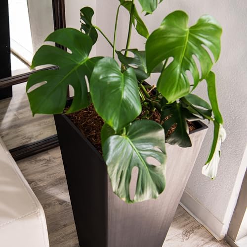 XBrand 28-Inch Tapered Planter, Large Indoor and Outdoor Plant Pot, Black, Modern Decorative Planter for Patio, Porch, Garden, Home and Entryway Décor - Image 5