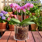 8 Inch Clear Acrylic Orchid Planter Pot with 360° Round Holes & Tray - Image 6