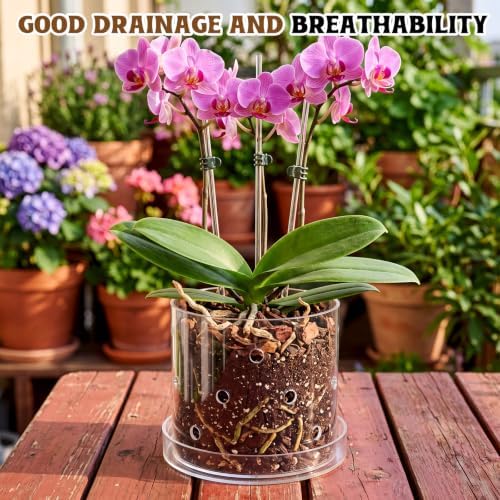 8 Inch Clear Acrylic Orchid Planter Pot with 360° Round Holes & Tray - Image 6