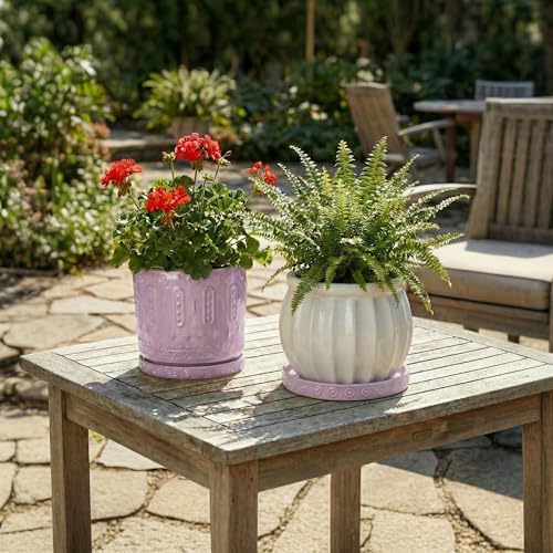 Eightpot 2 Pack Plant Trays for Pots, 7.5 Inch Plant Plates to Catch Water for Indoor Outdoor, Round Plants Water Catcher Tray, Boho Flower Pot Saucer, Decorative Plants Dishes to Catch Water, Purple - Image 7