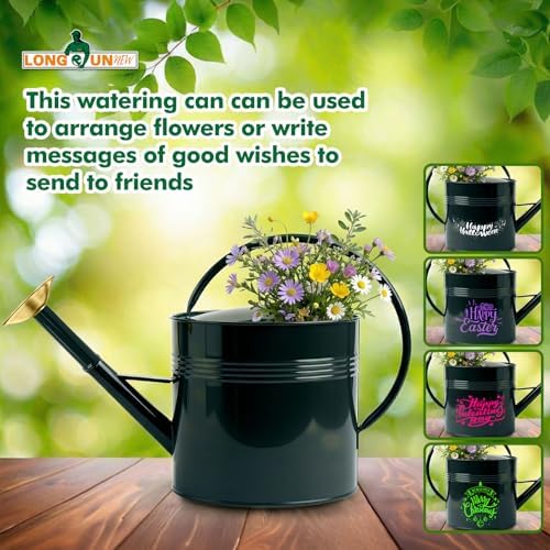 Galvanized Iron Watering Can for Indoor Plants, Oval Watering Cans for House Plant Garden Flower, Long Spout Water Can for Outdoor Watering Plants 9.46L 2.5 Gallon Gold - Image 6