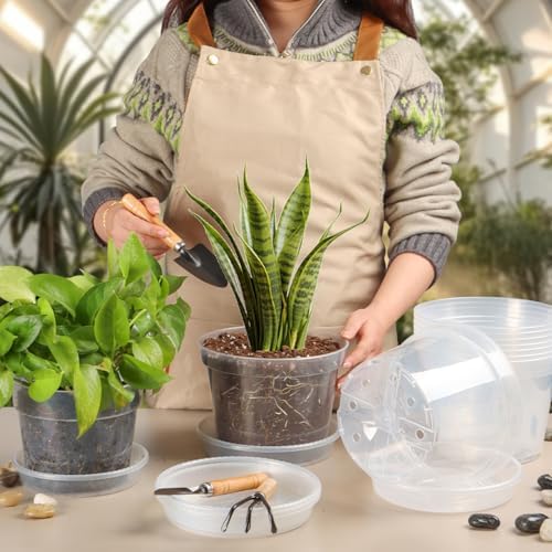 12 Pack 7 Inch Clear Nursery Pots with Saucer, Transparent Plastic Plant Pots with Drainage Holes, Sturdy Plant Starter Pots, Planter Pot for Planting Succulent Flower Herb Vegetable, Gardening Gifts - Image 5