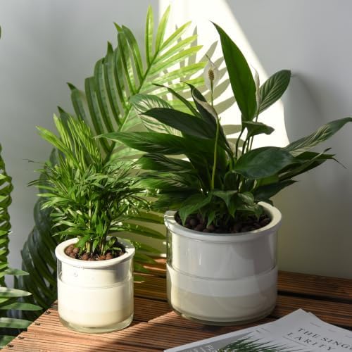 Phoenix Vine 6 Inch Self Watering Planter, Design White Terracotta Pot for Plants, Indoor Cylinder Terra Cotta Pot with Glass Vase, Set of 1, 51-B-F-1 - Image 7