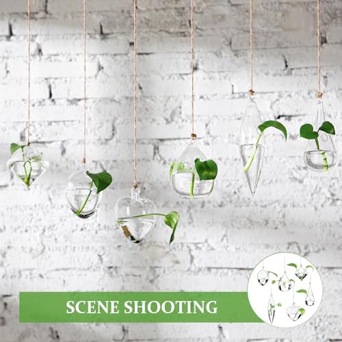 Zopeal 6 Set Wall Hanging Glass Planter Terrarium Propagation Station Vase Container Watering Squeeze Bottle with Rope and Hook for Hydroponic Plants Flower Home Decor Gifts (Classic Style) - Image 6