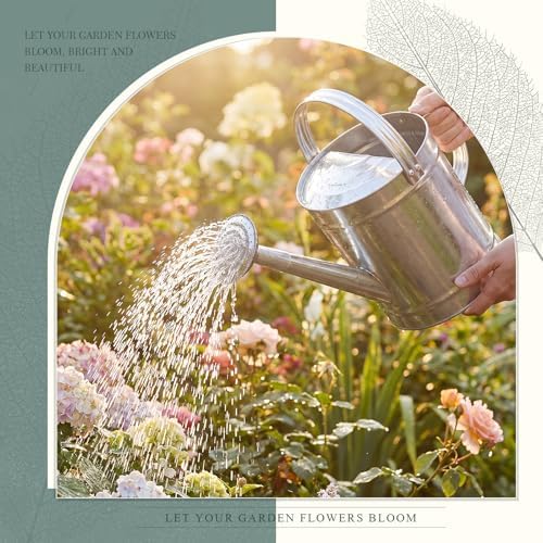 Geetery 2 Gallon Galvanized Metal Watering Can, Removable Spout,Silver - Image 4