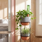 Tatuo 24 Pack Terracotta Watering Spikes Automatic Plant Waterer Devices Outdoor Indoor Use Plant Self Watering Devices Wine Bottle - Image 3
