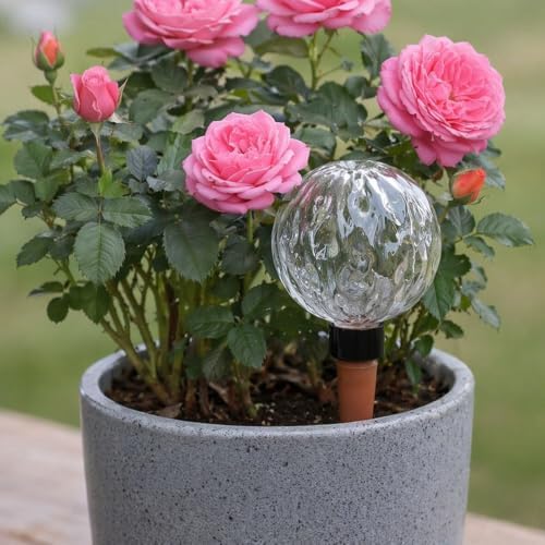 Self Watering Globes Plastic Ball Waterer (Style 3) - Image 2