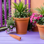 12 Pack Ceramic Plant Watering Spikes for Indoor Potted Flowers - Image 4