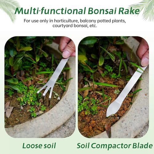 Large Clay Watering Spikes with Lids, Olla Spikes | 6 Pack Self-Watering Stakes for Indoor & Outdoor Planters | Terracotta Vacation Plant Waterer, Slow Release Devices with Rake - Image 4