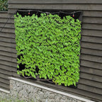 Self-Watering Wall-Mounted Planter, 18 Pots Wall Mounted Plastic Plant Grow Pot Vertical Garden Planter with Intelligent Control & Adjustable Irrigation System for Indoor Outdoor (Black, 18 Pots) - Image 3