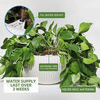 Dexceder 10.5 Inch Self Watering Hanging Planter (White) - Image 4