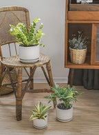 LE TAUCI Ceramic Pots for Plants, 4.3+5.3+6.8 Inch, Set of 3, White - Image 2