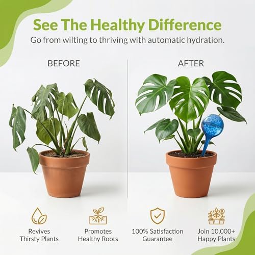 Large Plant Watering Globes 6 Pack – Jumbo Self Watering Bulbs, 350ml Set - Image 2