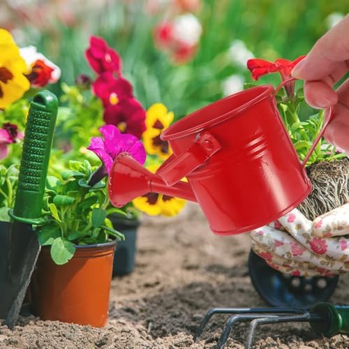 DOITOOL 6 Pcs Mini Watering can Cute Watering can for Kids Gardening Plastic can for Plants Light Small can Indoor Succulents Air Plants Garden Equipment - Image 2