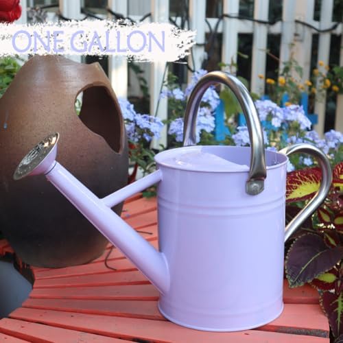 Metal Watering Can 1 Gallon for Outdoor Garden Plants,Purple - Image 2