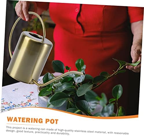 Stainless Steel Watering Pot 2000ml Long Spout Brass Garden Can - Image 6