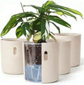 Self Watering Planters, 6 Inch Pot with Water Reservoir, Nylon Wick & Clear Inner Pot, Bottom Water System | Large Self Watering Pots for Indoor & Covered Outdoor Plants | Cream | Pack of 4 by Wavyleaf