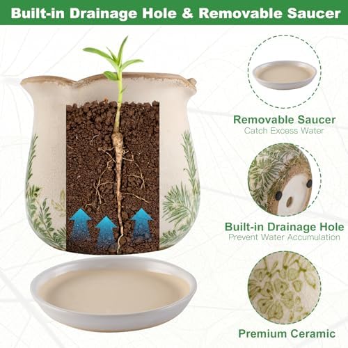 Ceramic-Planters-for-Indoor-Plants with Saucer, 6 inch Vintage Ice Crackle Glaze Plant Pots with Drainage Holes, Decorative Flower Pots for Outdoor Garden Home Decor, Tuscan Pot for Plant - Image 5