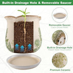 Ceramic-Planters-for-Indoor-Plants with Saucer, 6 inch Vintage Ice Crackle Glaze Plant Pots with Drainage Holes, Decorative Flower Pots for Outdoor Garden Home Decor, Tuscan Pot for Plant - Image 5
