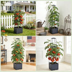 2 Pack Raised Garden Bed Tomato Planter with Trellis - 45" Self Watering Planters Box with Trapezoidal Trellis for Climbing Plants Vegetables Flowers - Tomato Cages for Greenhouse Indoor Outdoor - Image 6