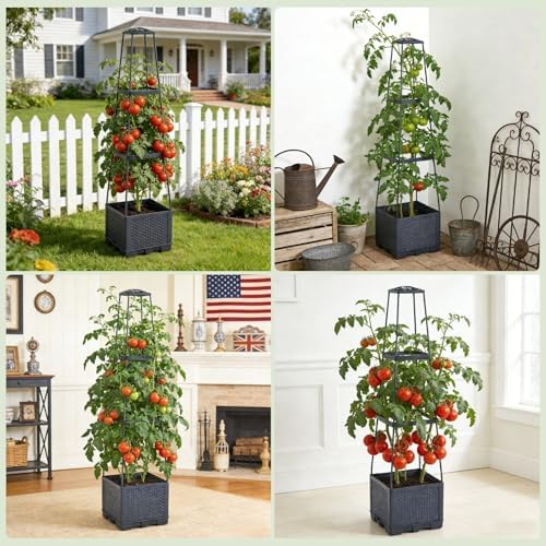 2 Pack Raised Garden Bed Tomato Planter with Trellis - 45" Self Watering Planters Box with Trapezoidal Trellis for Climbing Plants Vegetables Flowers - Tomato Cages for Greenhouse Indoor Outdoor - Image 6