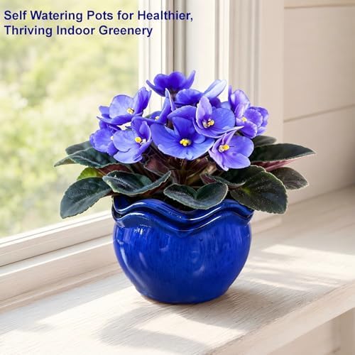 Ceramic Self-Watering African Violet Pots for Indoor Plants - Image 5