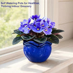 Ceramic Self-Watering African Violet Pots for Indoor Plants - Image 5