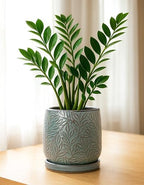 D'vine Dev Embossed Leaves Ceramic Planter, 6 in, Graphite Blue, 27-A-X-9 - Image 5
