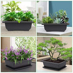 GROWNEER Bonsai Pots with Drainage Tray 6 Pack 9 Inch Bonsai Training Pot - Image 6