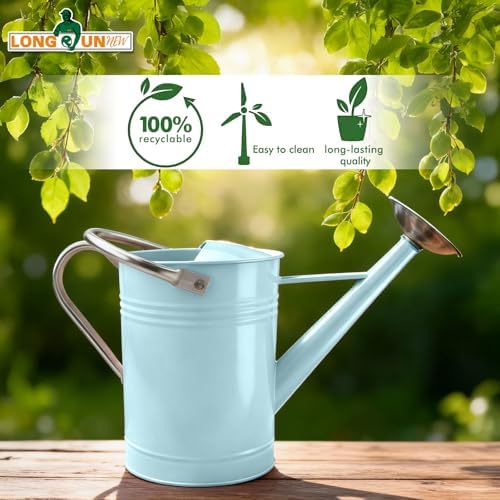Galvanized Iron Watering Can for Indoor Plants, DIY Watering Cans for House Plant Garden Flower, Long Spout Water Can for Outdoor Watering Plants 6.44L 1.7 Gallon (Blue) - Image 6