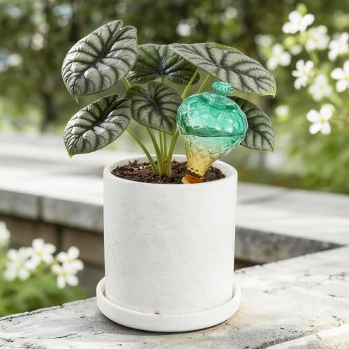 12 oz Plant Watering Globes, Green Glass Self Watering Bulbs Top Fill with Terracotta Spikes Stake, Self Watering Planter Insert Vacation Automatic Plant Waterer Device for Indoor & Outdoor 2Pack - Image 2